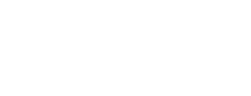 Delfa logo